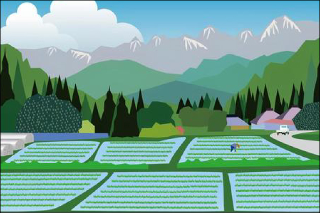 ��l�̏o��ɃI�X�X���̏��q�吶�I�}�b�`���O�A�v���ő_��JD�Ƃ́H